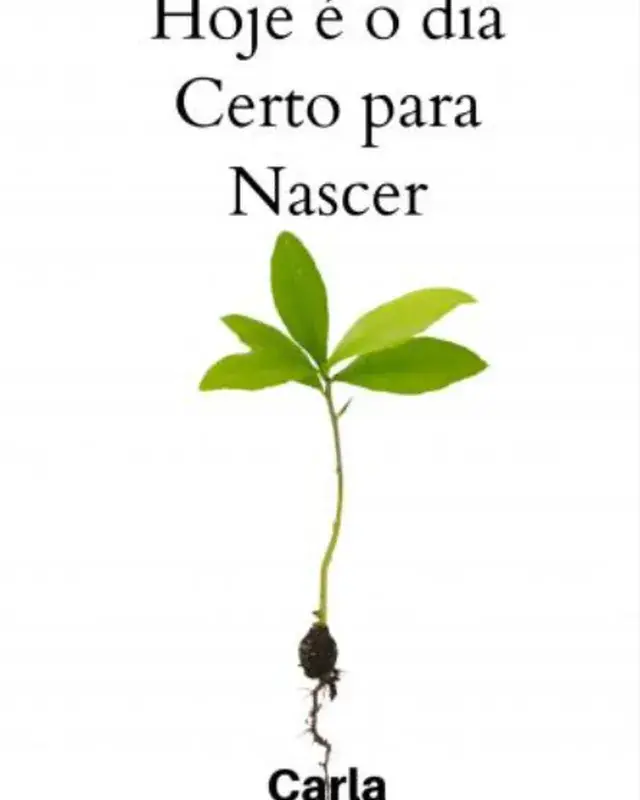 Capa do livro Hoje é o dia Certo para Nascer